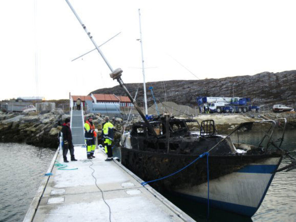 Storbrann i Alta båthavn