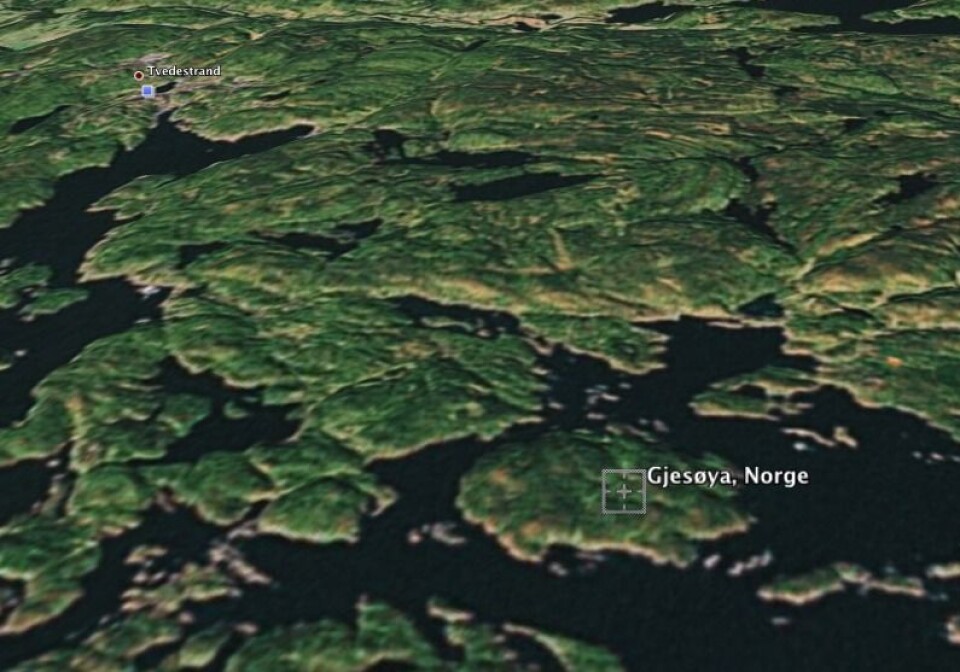 RIB-en kjørte på lille Bastholmen øst for Gjesøya utenfor Tvedestrand.Foto: Google Earth