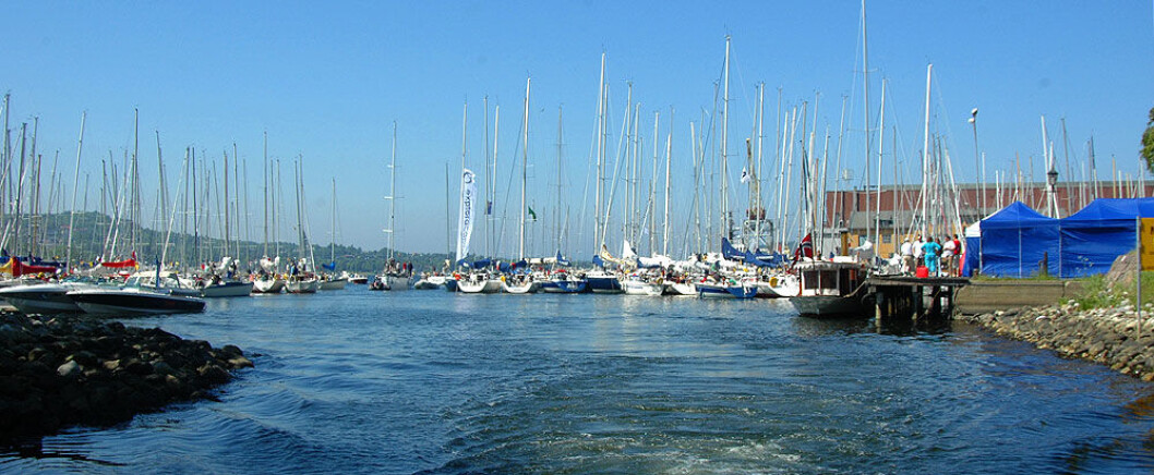Roere frykter for småbåttrafikken i Indre Havn i Horten. Roere frykter for småbåttrafikken i Indre Havn i Horten.