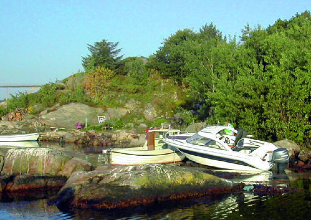 Tre ukers fengsel for båteier Tre ukers fengsel for båteier