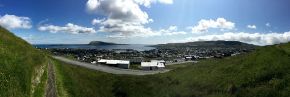 Møte med hval mellom Shetland og Færøyene
