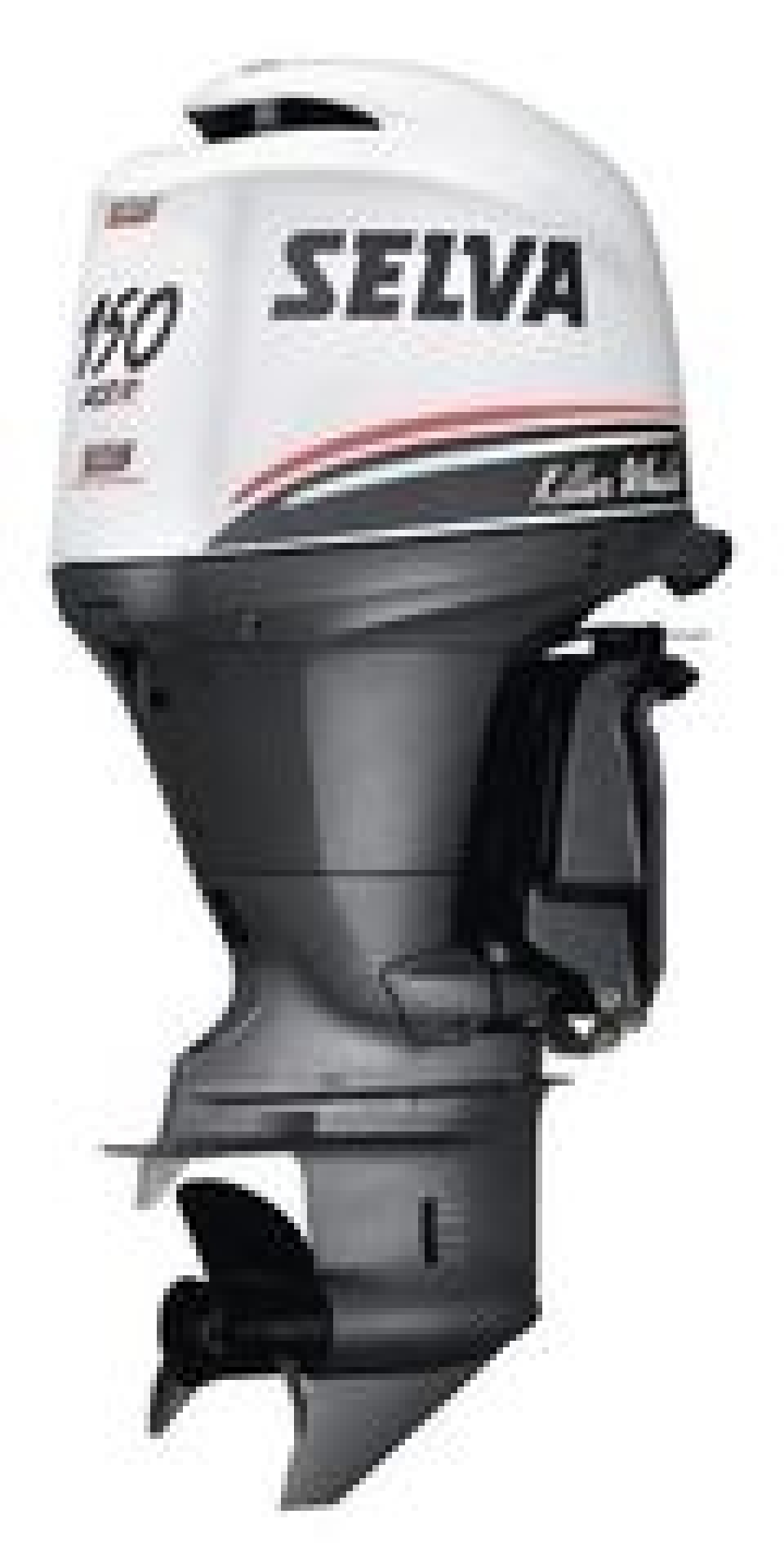 Selva Killer Whale 150 XSR