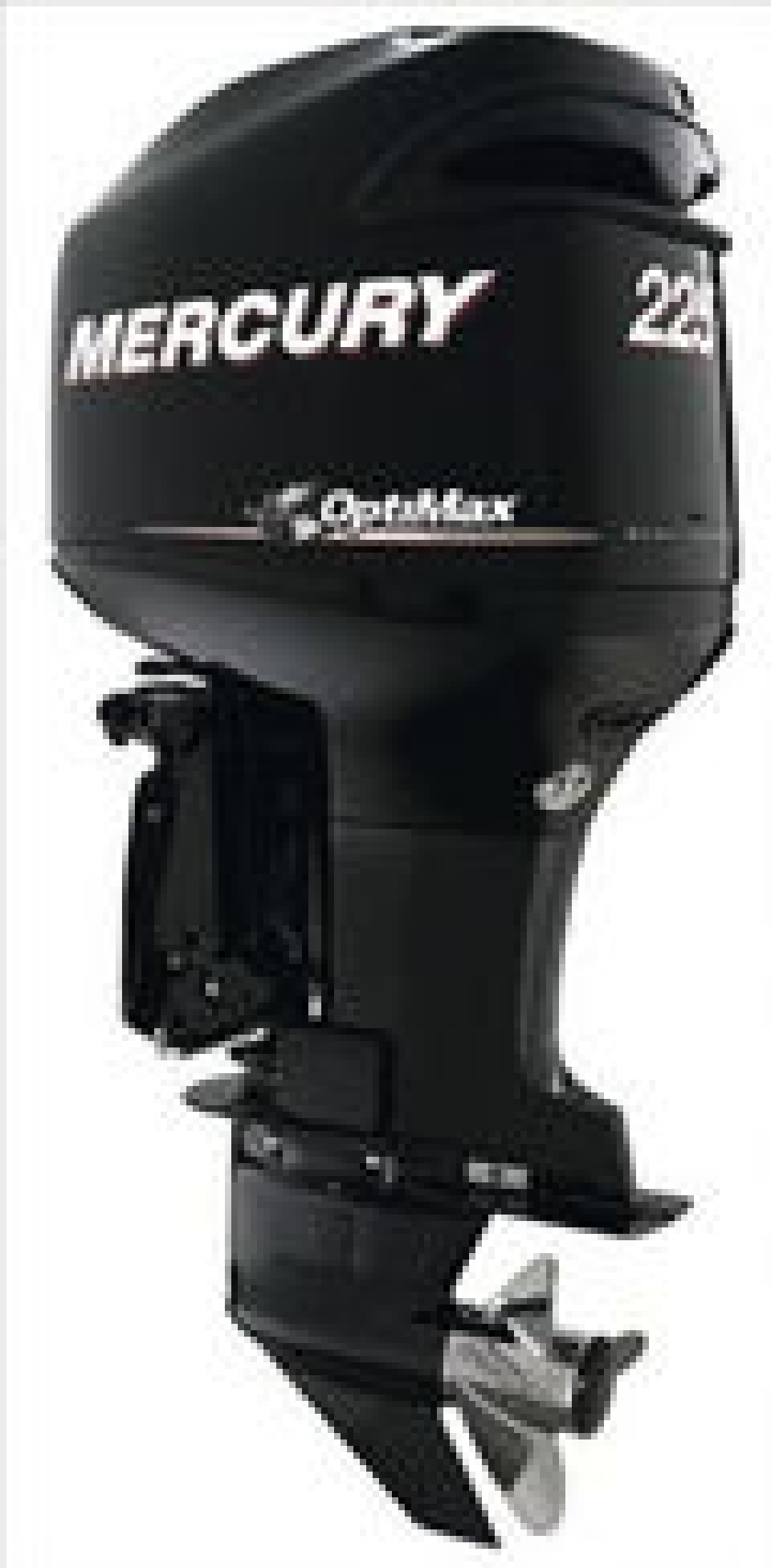 Mercury OptiMax 225