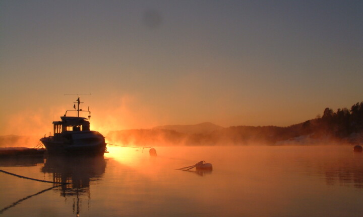 Båtliv i alle kanaler