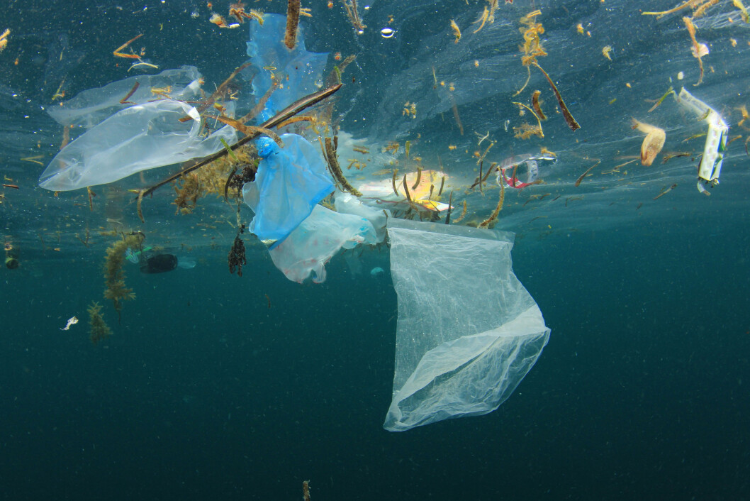 FYLLES OPP: Havet fylles opp av plast og estimatene går ut på at dersom vi fortsetter som vi stevner, vil det være mer plast i havet enn det er fisk. Forbruket av plast må reduseres. Foto: Rick Carey/Shutterstock FYLLES OPP: Havet fylles opp av plast og estimatene går ut på at dersom vi fortsetter som vi stevner, vil det være mer plast i havet enn det er fisk. Forbruket av plast må reduseres. Foto: Rick Carey/Shutterstock