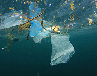 Båtfolket skal ta plasten med hjem