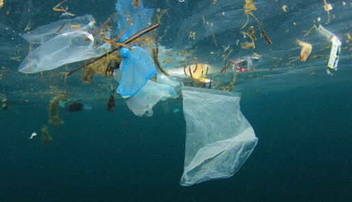 Båtfolket skal ta plasten med hjem