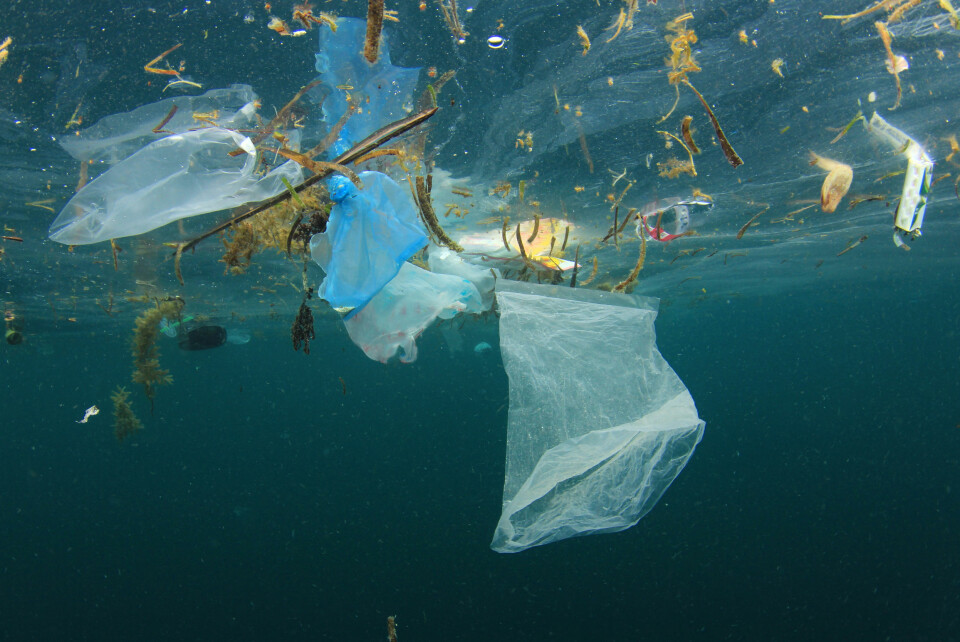 FYLLES OPP: Havet fylles opp av plast og estimatene går ut på at dersom vi fortsetter som vi stevner, vil det være mer plast i havet enn det er fisk. Forbruket av plast må reduseres. Foto: Rick Carey/Shutterstock