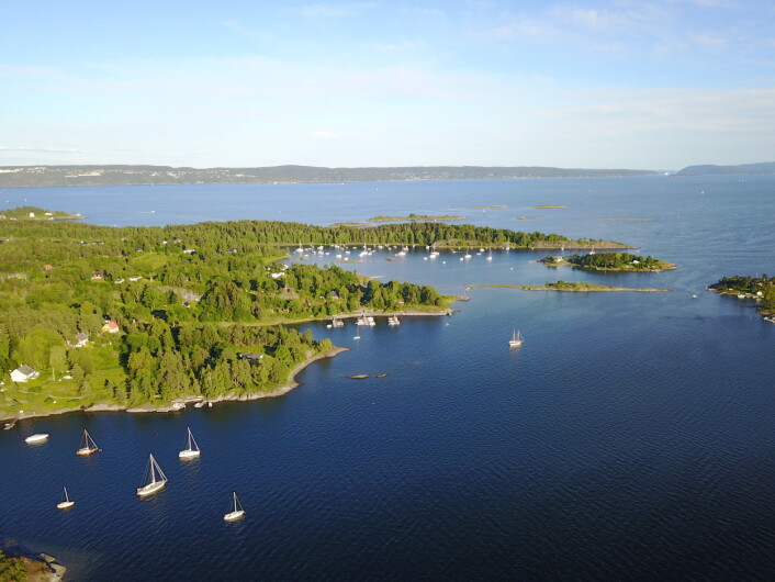 SOMMER: Oslofjorden er grønn og blå sett fra høyden. SOMMER: Oslofjorden er grønn og blå sett fra høyden.