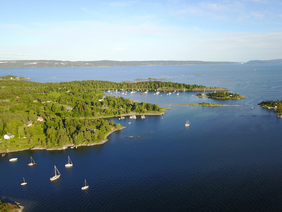 SOMMER: Oslofjorden er grønn og blå sett fra høyden.