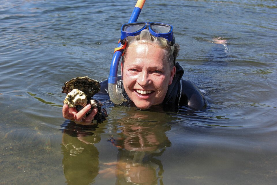 GRUNT VANN: Helena Neraal finner både østers og hjerteskjell på sandbunn helt inne ved stranden.