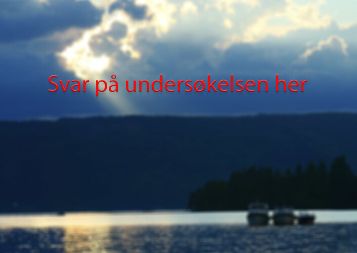 Til undersøkelsen Til undersøkelsen