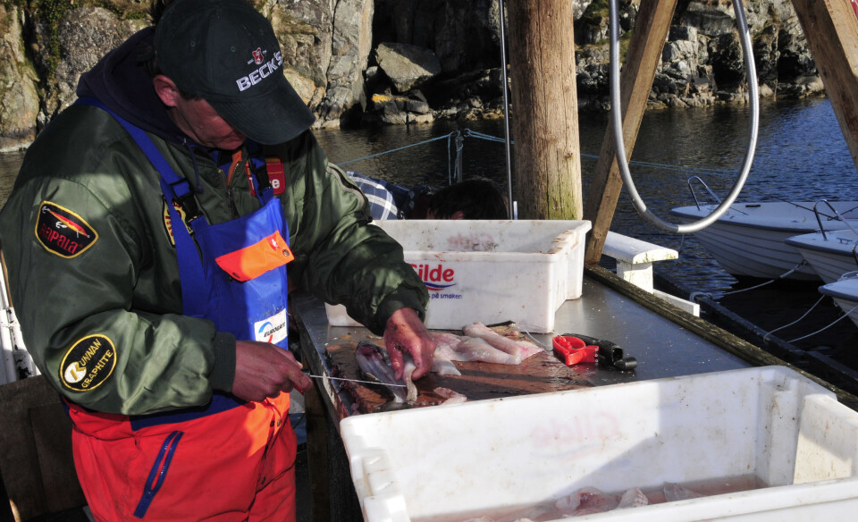 Regjeringen vil skjerpe eksportreglene for turistfiskere ytterligere (Illustrasjonsbilde).