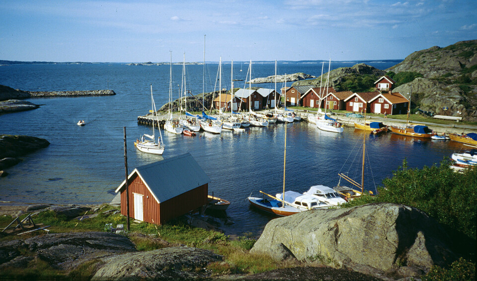RAMSÖ: Ramsö har en hyggelig havn. I sommersesongen er den stuvende full av gjestende båter.