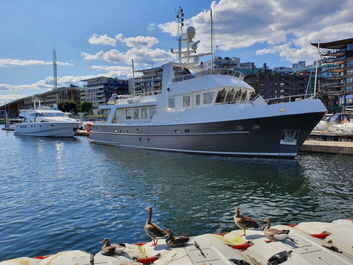 YESS ENDELIG SOL! Yachter og gjess møtes på Aker Brygge. YESS ENDELIG SOL! Yachter og gjess møtes på Aker Brygge.