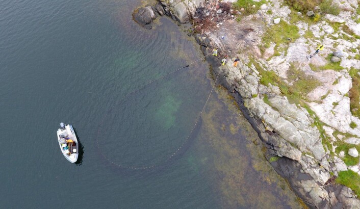MÅLINGER: Med strandnot er det gjort grundige undersøkelser for å finne mengden av torskeyngelens favorittmat. MÅLINGER: Med strandnot er det gjort grundige undersøkelser for å finne mengden av torskeyngelens favorittmat.