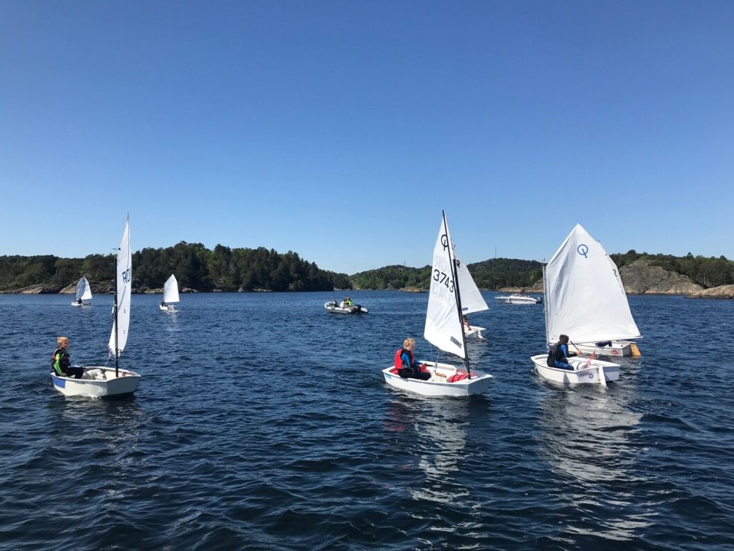 opti1pinseleirarendal opti1pinseleirarendal