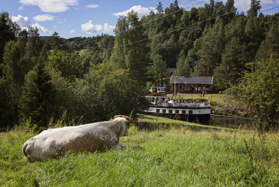 Visit Telemark