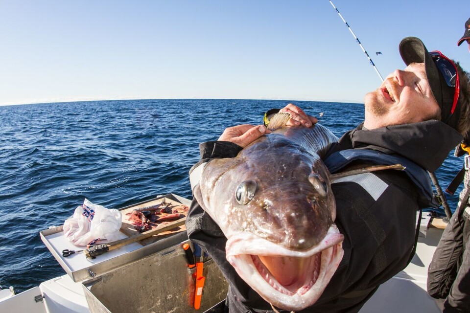 Mer fiskeglede med FishReveal. Foto: Tommy Egra