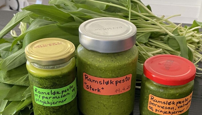 FLERE VARIANTER: Ramsløkpesto. FLERE VARIANTER: Ramsløkpesto.