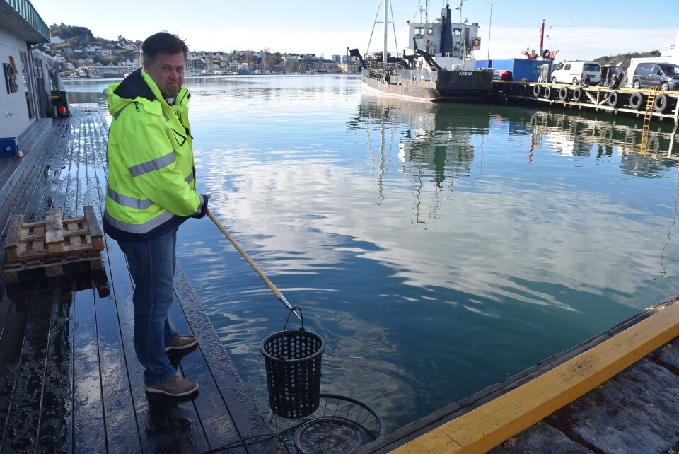VELLYKKET: Testing av den nnye søppelsugeren er vellykket, sier havnesjef Karl Oskar Jørgensen. Foto: Øystein Sørumshagen, Sandefjords Blad.