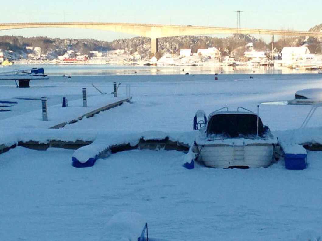 20 MINUS: Mens vi venter på at isen skal smelte i Vrengensundet kan vi varme oss på våres mange båtmesser. (Foto: Amund Rich. Løken). 20 MINUS: Mens vi venter på at isen skal smelte i Vrengensundet kan vi varme oss på våres mange båtmesser. (Foto: Amund Rich. Løken).