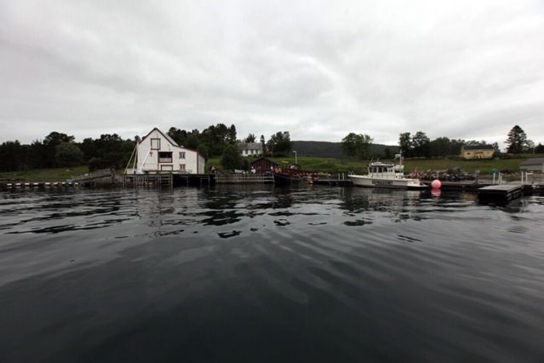 STILLE DAG: Det var stille i havna da vi var på besøk, men når sola titter frem og i helgene fylles det opp i gjestehavna på Lille Kalvøy. STILLE DAG: Det var stille i havna da vi var på besøk, men når sola titter frem og i helgene fylles det opp i gjestehavna på Lille Kalvøy.