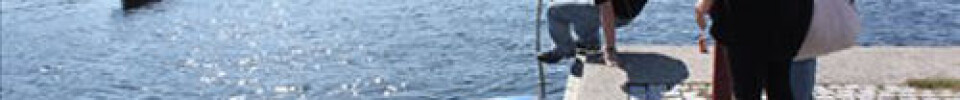 - Norges raskeste 11-foter