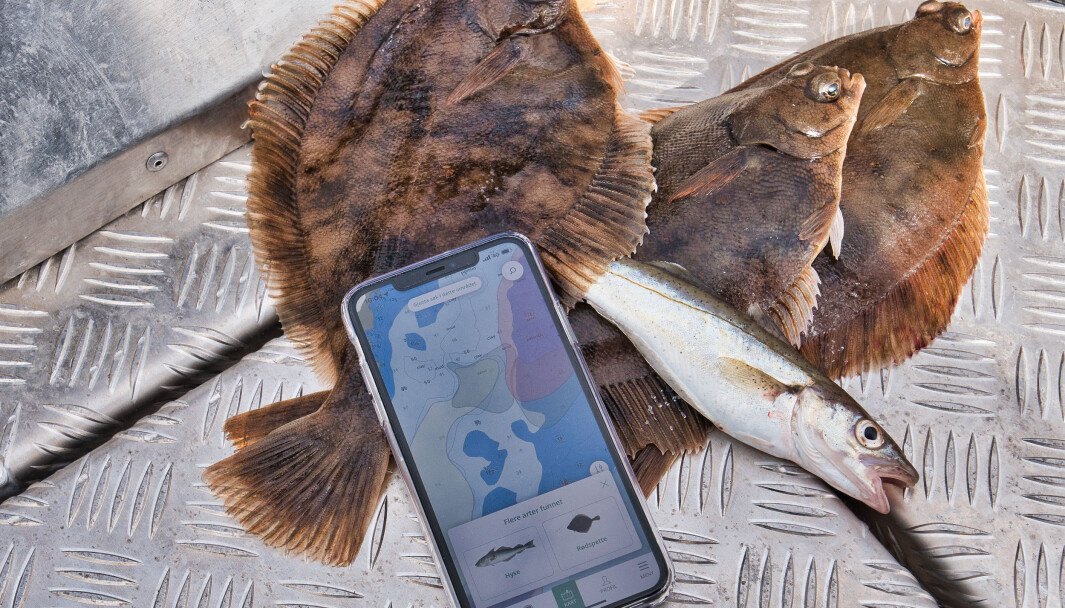 POPULÆR APP: FiskHer topper nedlastninger både for Android og iPhone, bare noen få dager etter lansering. POPULÆR APP: FiskHer topper nedlastninger både for Android og iPhone, bare noen få dager etter lansering.