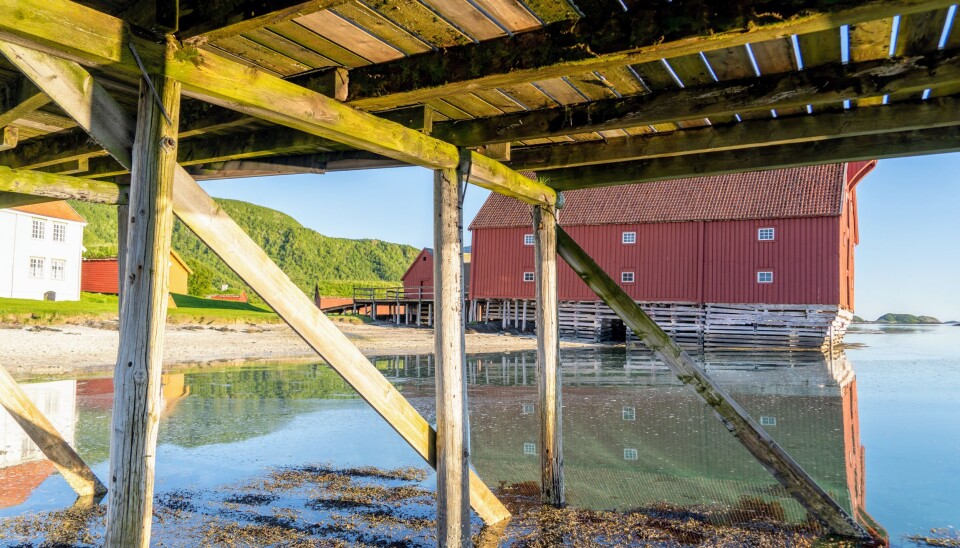 UTROLIG: Kjerringøy var en av plassene som gjorde mest inntrykk. Et paradis. UTROLIG: Kjerringøy var en av plassene som gjorde mest inntrykk. Et paradis.