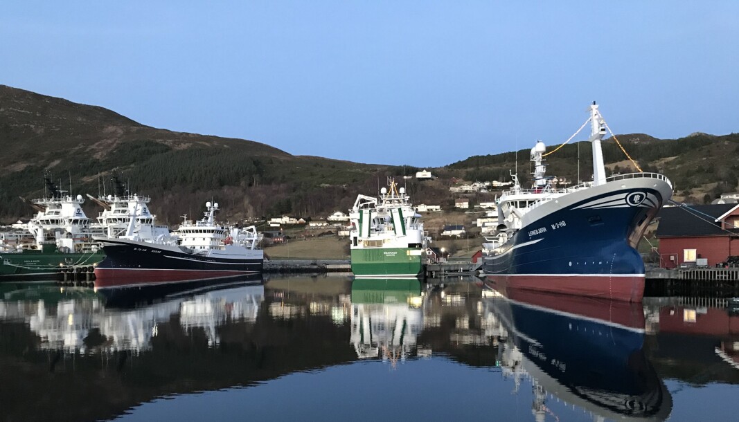 HERØY: Her ligger verdens mest høyteknologiske spesialskip i hopetall, side om side med en liten sjark ved ei sjøbu. HERØY: Her ligger verdens mest høyteknologiske spesialskip i hopetall, side om side med en liten sjark ved ei sjøbu.