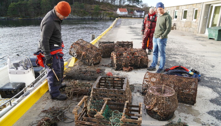 RESULTATER: Disse redskapene ble plukket opp på et par timers arbeid. Foto: Liv Eva Kirkesæther/Havforskningsinstituttet RESULTATER: Disse redskapene ble plukket opp på et par timers arbeid. Foto: Liv Eva Kirkesæther/Havforskningsinstituttet