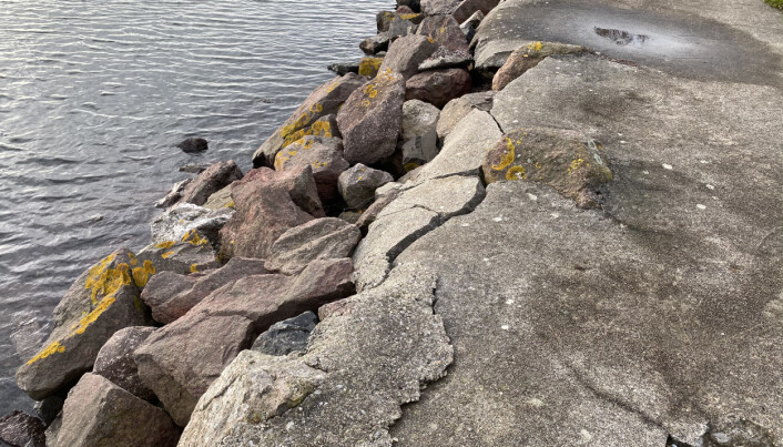 FORFALL: Båtforeningen forteller om vedlikeholdskostnader som går på bekostning av økte kostnader for tomtefeste. FORFALL: Båtforeningen forteller om vedlikeholdskostnader som går på bekostning av økte kostnader for tomtefeste.