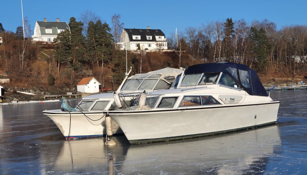 IS: To falmede skjønnheter i isen ved Holtekilen siste helg i januar 2021 IS: To falmede skjønnheter i isen ved Holtekilen siste helg i januar 2021