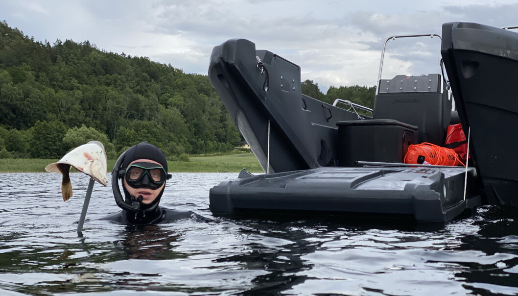 MULTI: Pioner 17 Multi er en svært funksjonell transportbåt som tåler mye last og har mange bruksområder. MULTI: Pioner 17 Multi er en svært funksjonell transportbåt som tåler mye last og har mange bruksområder.