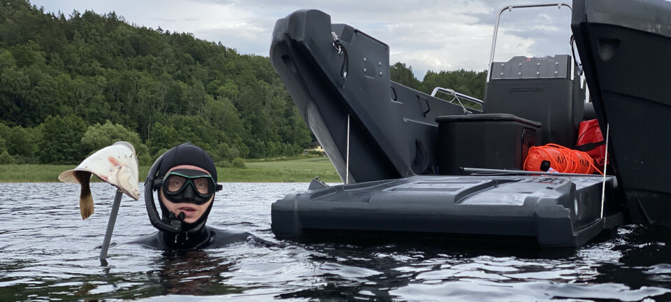 Test av Pioner 17 Multi: Sjøens svar på Swiss army knife