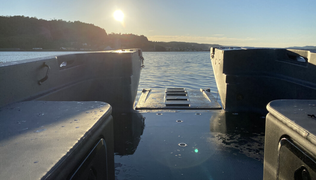 BADEBRYGGE: Med bauglemmen nede er det enkelt å komme seg ut i vannet. BADEBRYGGE: Med bauglemmen nede er det enkelt å komme seg ut i vannet.