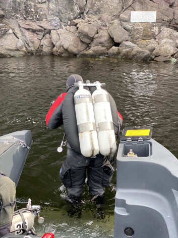 UT PÅ LEMMEN: Den flytende lemmen sank perfekt da dykkerne skulle ut i vannet. UT PÅ LEMMEN: Den flytende lemmen sank perfekt da dykkerne skulle ut i vannet.
