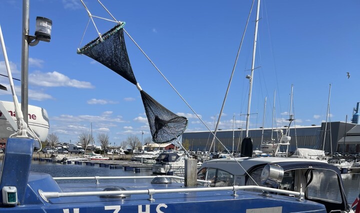 Forstår du hva fiskeren signaliserer?