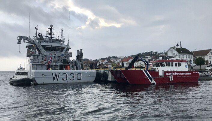 Nå er hummeren på rødlista