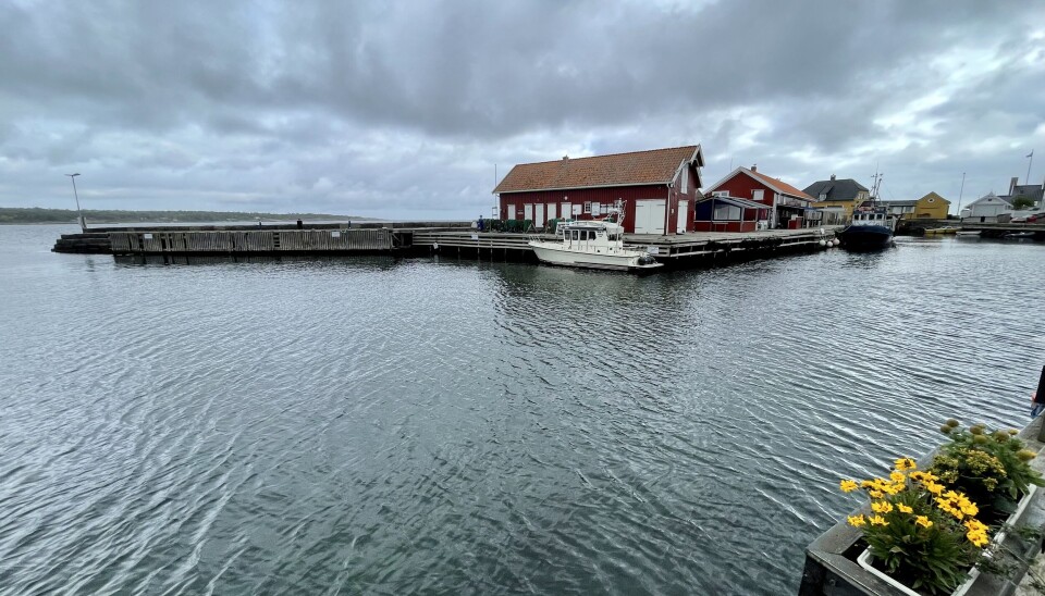 GJESTEHAVN: Ytterst på moloen er det gjesteplasser og sanitæranlegg. GJESTEHAVN: Ytterst på moloen er det gjesteplasser og sanitæranlegg.