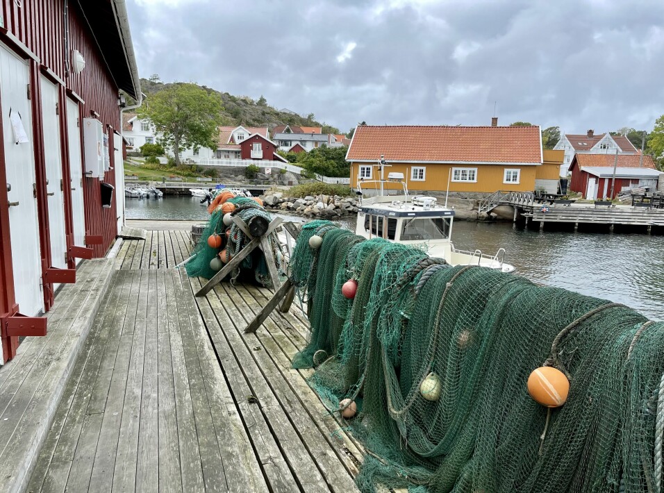 REKEFABRIKKEN: Fra gjestebrygga på moloen ved fiskemottaket ser man over til Vadbodholmen og galleriet «Rekefabrikken».