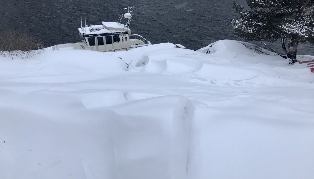SNØ I VENTE: Enkelte steder kan det komme over 80 centimeter snø de neste dagene i Agder og Telemark. SNØ I VENTE: Enkelte steder kan det komme over 80 centimeter snø de neste dagene i Agder og Telemark.