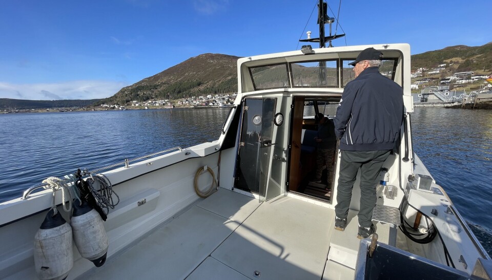 VINDSKJERM: Tresfjord 29 Nordic ble levert i to versjoner. Den mer påkostede hadde vindskjerm i akterkant av hyttetaket. VINDSKJERM: Tresfjord 29 Nordic ble levert i to versjoner. Den mer påkostede hadde vindskjerm i akterkant av hyttetaket.