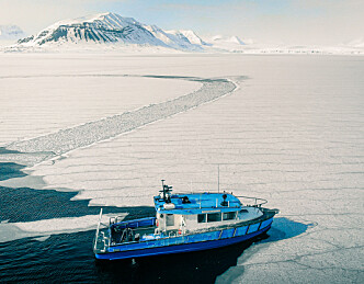 En tøffing har ankommet Svalbard