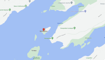 POPULÆR: Bjerkholmen i Holtekilen ved Fornebu har forårsaket flest grunnstøtinger i Oslofjorden blant de norske medlemmene. (Google Maps) POPULÆR: Bjerkholmen i Holtekilen ved Fornebu har forårsaket flest grunnstøtinger i Oslofjorden blant de norske medlemmene. (Google Maps)