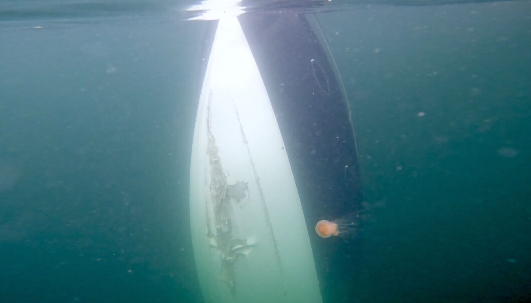 SANK: Den raske daycruiseren traff skjæret brutalt og sank. En luftlomme i baugen gjorde at den ikke gikk til bunns. SANK: Den raske daycruiseren traff skjæret brutalt og sank. En luftlomme i baugen gjorde at den ikke gikk til bunns.