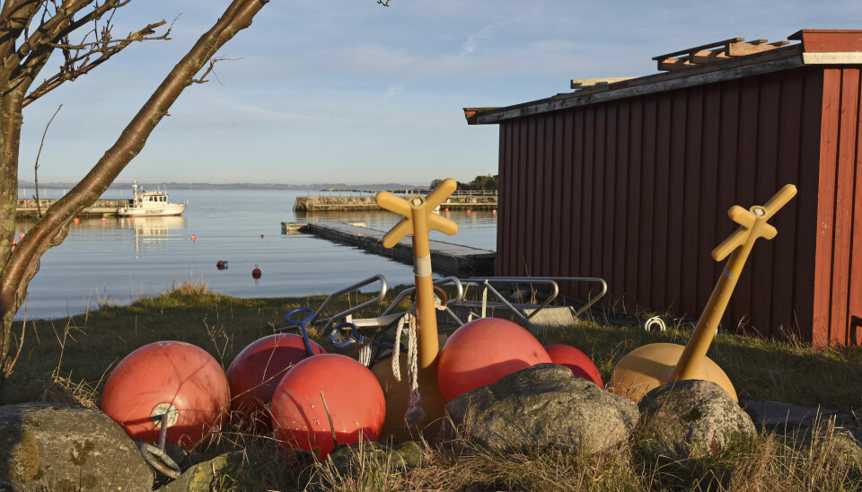 SISTE TUR: Vi rundet av året med en båttur til idylliske Stråholmen øst for Jomfruland på telemarkskysten.