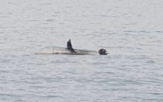 Fem fugletittere omkom etter møte med hval