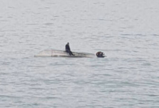 Fem fugletittere omkom etter møte med hval